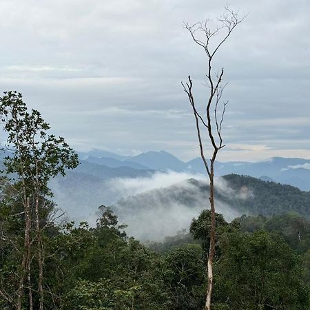 Misty At Fraser'S Hill Fraser Hill Экстерьер фото